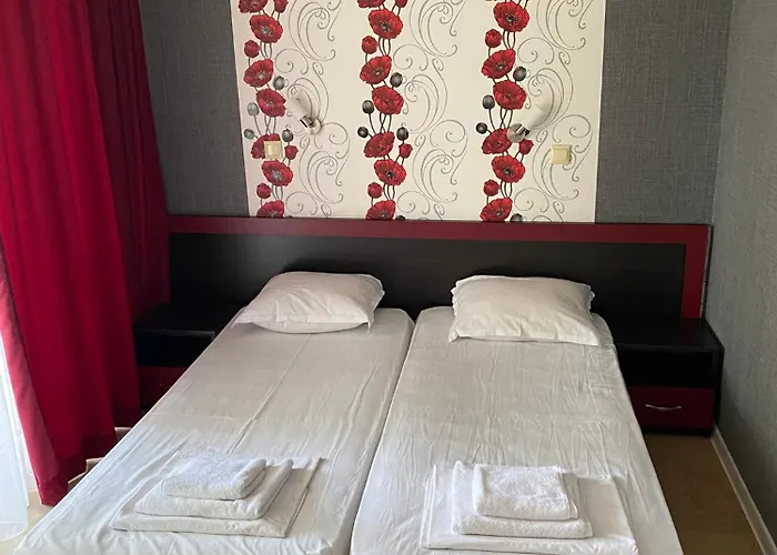 Sea Star 프리모르스코